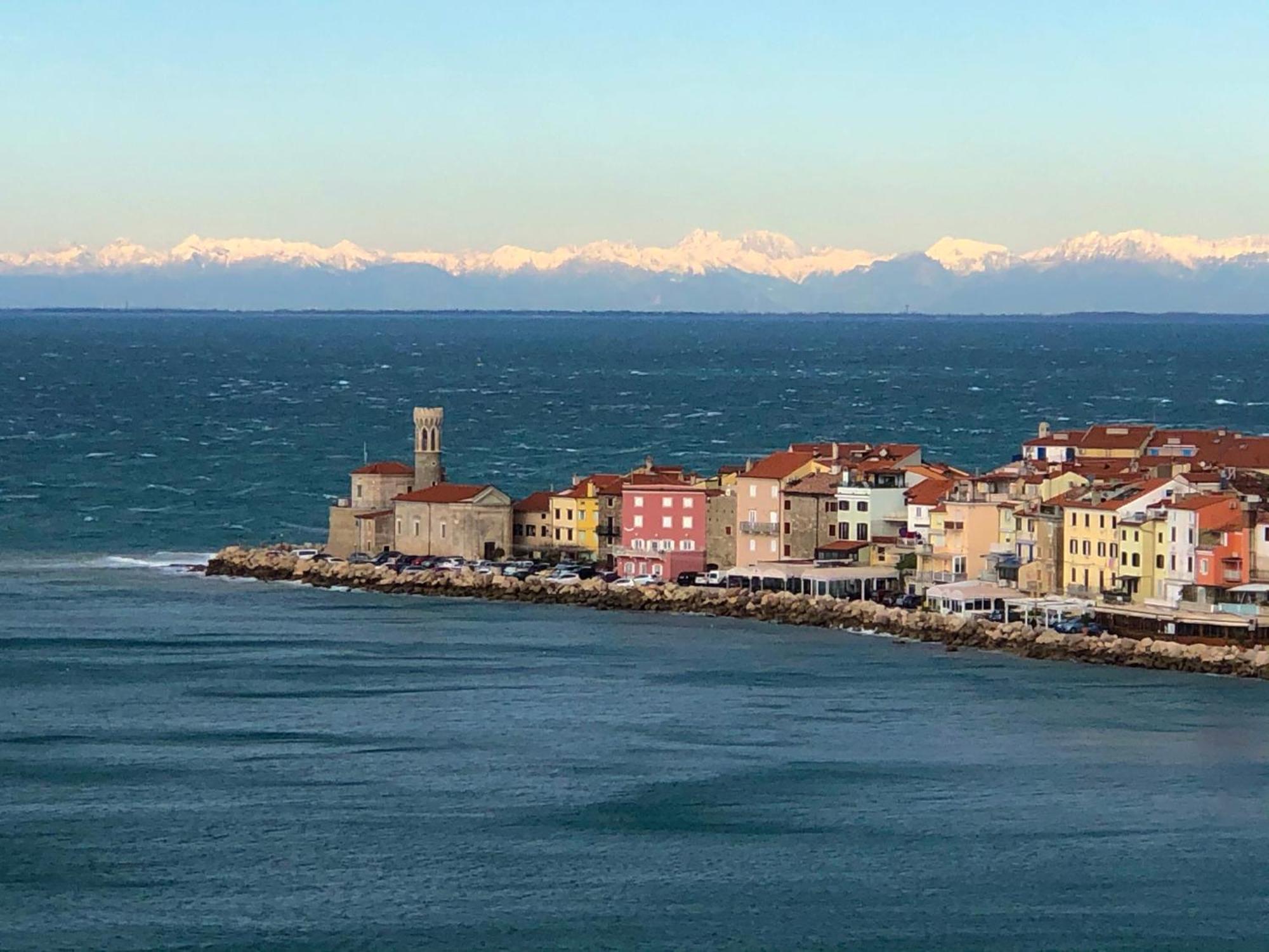 Apartment Modrin Piran Exterior photo