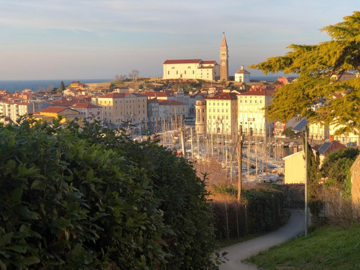 Apartment Modrin Piran Exterior photo